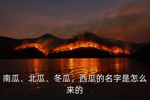 廣東話南瓜怎么叫冬瓜,西瓜南瓜都是方向詞加瓜