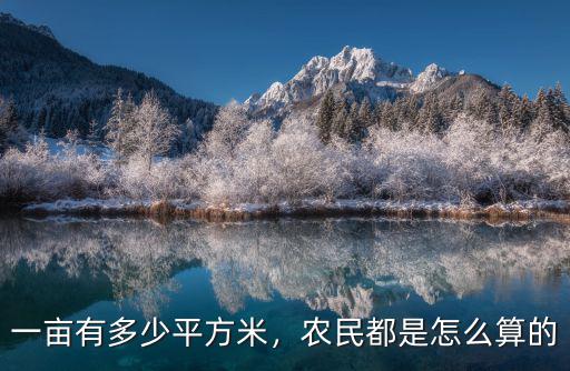 一畝有多少平方米棗莊地圖,一畝地=多少平方米