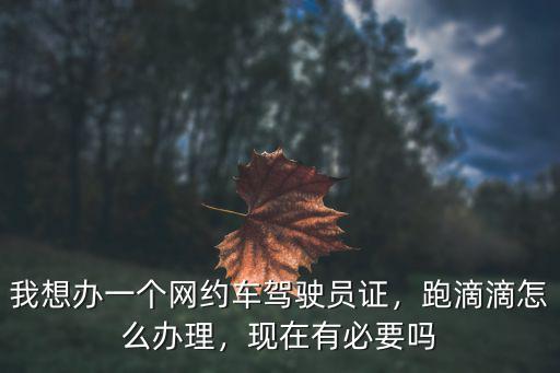江門市滴滴司機哪里辦人證,最近滴滴要求司機辦營運證