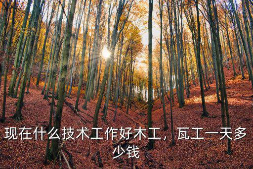 紹興市泥瓦工多少錢一天,瓦工一天多少錢