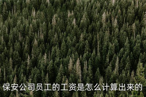 保安公司員工的工資是怎么計算出來的