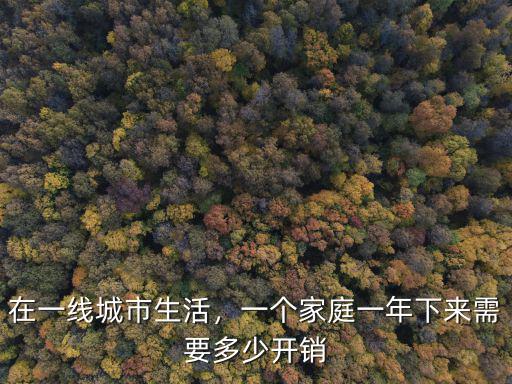 在一線城市生活，一個家庭一年下來需要多少開銷