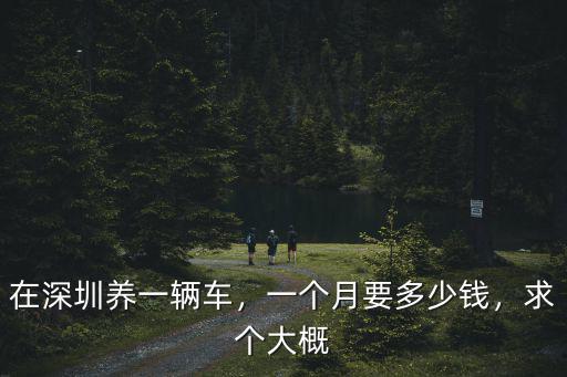 在深圳養一輛車，一個月要多少錢，求個大概
