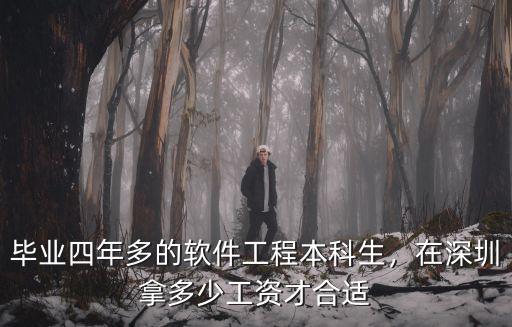 深圳大學軟件工程畢業年薪多少,畢業四年多的軟件工程本科生