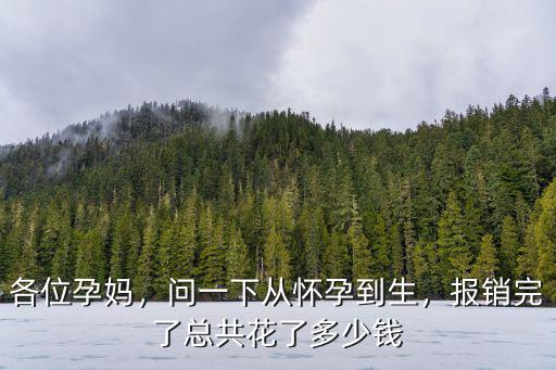 各位孕媽，問一下從懷孕到生，報銷完了總共花了多少錢