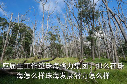 研究生珠海格力上班怎么樣,珠海發展潛力怎么樣
