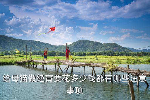 衢州地區(qū)母貓絕育多少錢,公貓絕育多少錢