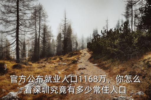 官方公布就業人口1168萬，你怎么看深圳究竟有多少常住人口