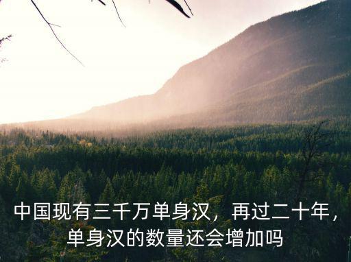 廣東的單身漢有多少,中國的單身漢越來越多