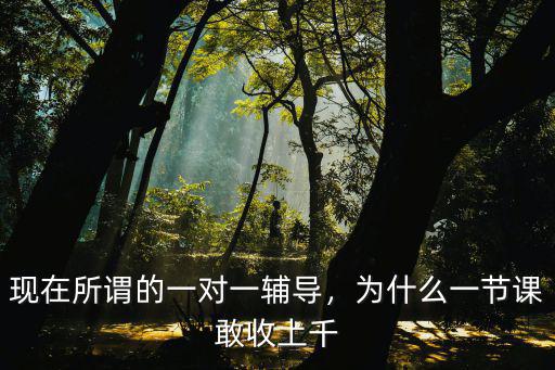 學大寧波校區一對一多少一節課,現在所謂的一對一輔導
