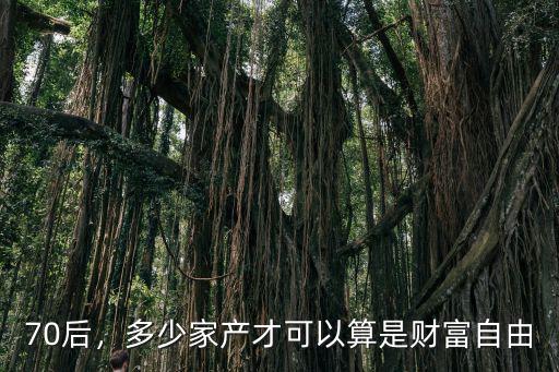 70后，多少家產才可以算是財富自由