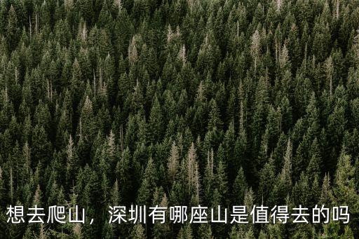 深圳哪里有土地填山,深圳土地不足