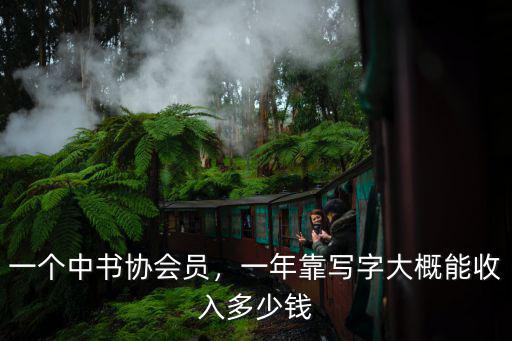 一個中書協會員，一年靠寫字大概能收入多少錢