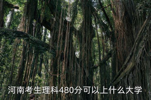 河南考生理科480分可以上什么大學