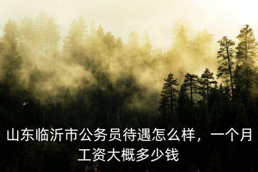 山東臨沂打工工資多少錢(qián)一個(gè)月,山東臨沂市公務(wù)員待遇怎么樣
