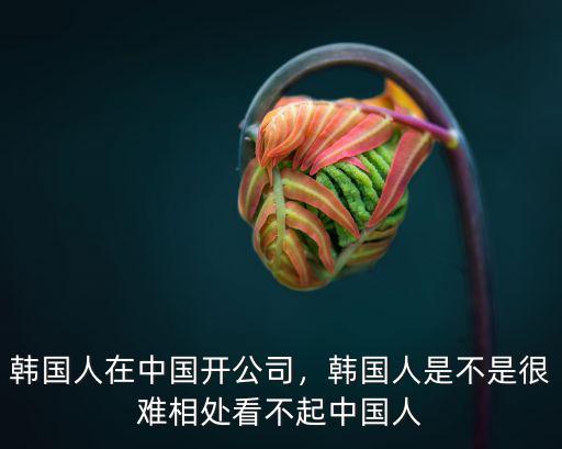 廣東人有多少韓國人,韓國人在中國開公司