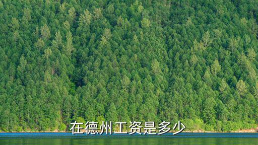 德州樂陵基層公務員工資是多少,公務員的工資到底是多少