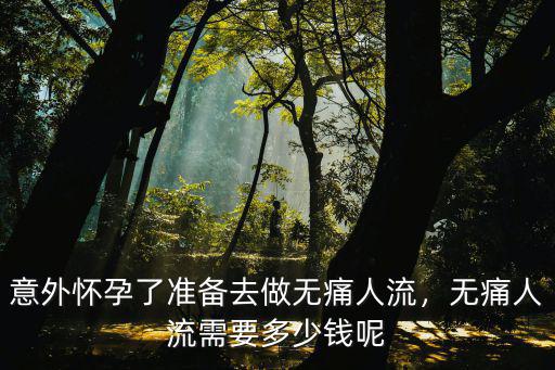 惠州做個無痛人流多少錢,意外懷孕了準備去做無痛人流