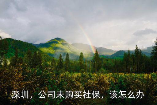深圳，公司未購買社保，該怎么辦