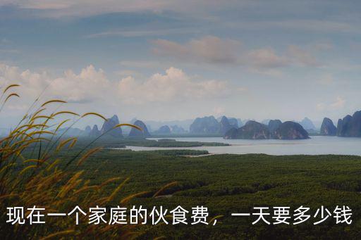 現在一個家庭的伙食費，一天要多少錢