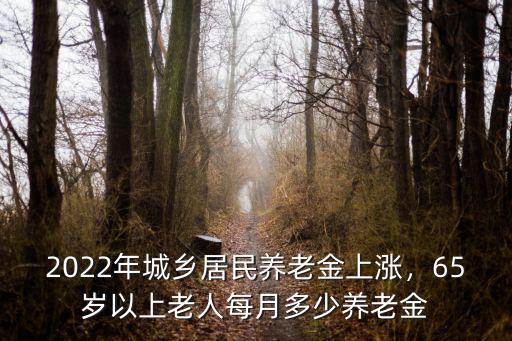 山東諸城65歲以上養老金多少,75歲和80歲漲多少