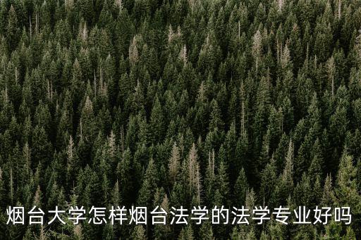 煙臺(tái)大學(xué)的法學(xué)今年多少分,煙臺(tái)法學(xué)的法學(xué)專業(yè)好嗎