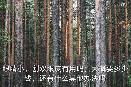 嘉興割雙眼皮價格一般多少,做雙眼皮多少錢
