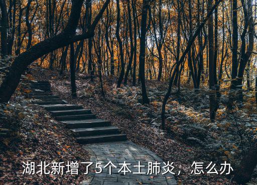 湖北新增了5個本土肺炎，怎么辦
