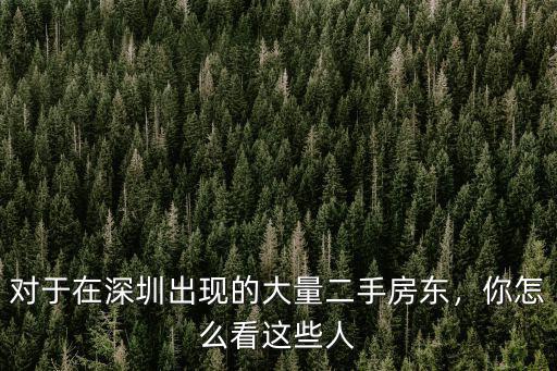 對于在深圳出現(xiàn)的大量二手房東，你怎么看這些人
