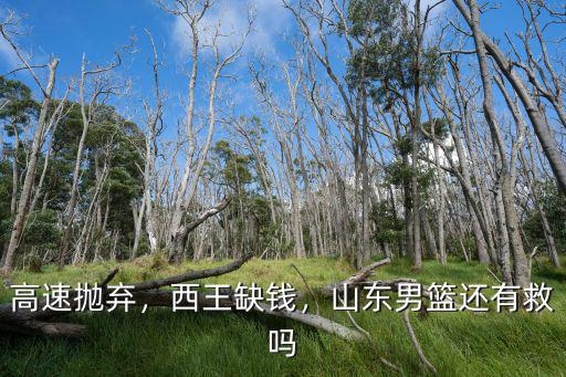 高速拋棄，西王缺錢，山東男籃還有救嗎