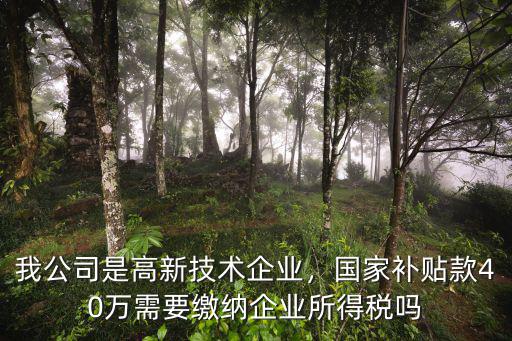廣州國家高新技術企業怎么繳稅,高新技術企業認定成功后