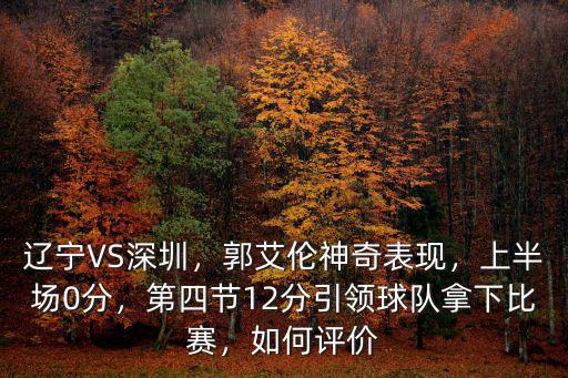 遼寧VS深圳，郭艾倫神奇表現，上半場0分，第四節12分引領球隊拿下比賽，如何評價