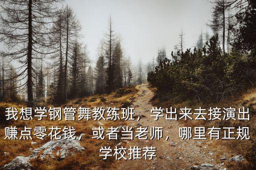 珠海哪里有學鋼管舞,哪里有正規學校推薦