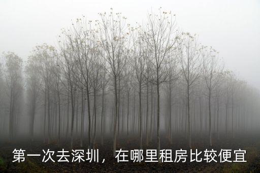 深圳龍崗坂田哪里租房便宜、,第一次去深圳