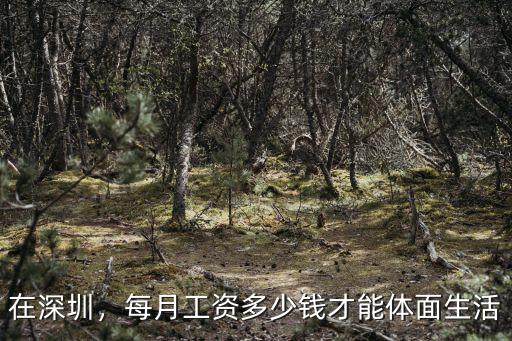 在深圳，每月工資多少錢才能體面生活