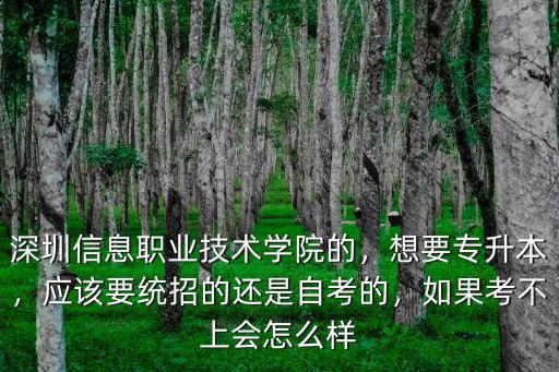 在深圳職?？疾簧蠒?huì)怎么樣,上職校怎么樣