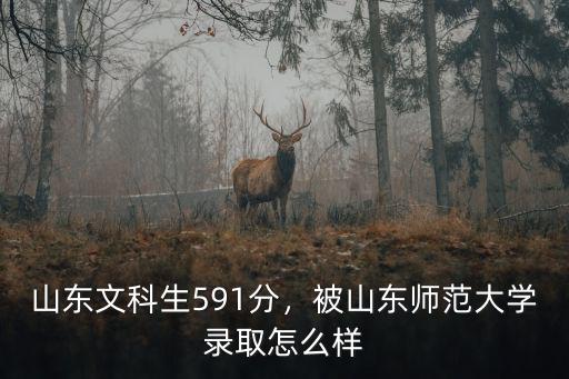 文科男山東師范要多少分,山東文科生591分