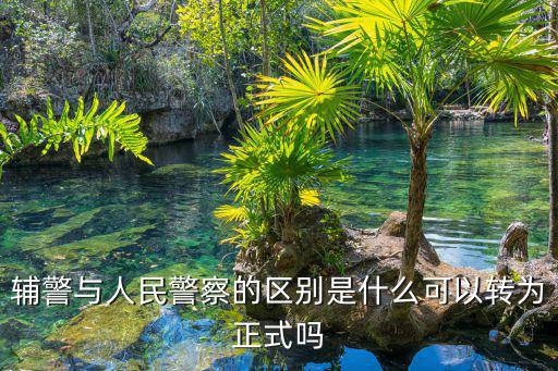 深圳輔警是怎么簽合同的,輔警與人民警察的區別是什么
