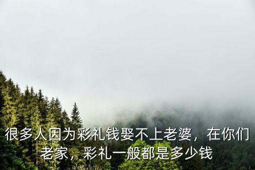 很多人因?yàn)椴识Y錢娶不上老婆，在你們老家，彩禮一般都是多少錢