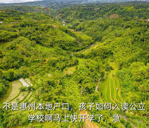 不是惠州本地戶口，孩子如何入讀公立學校啊馬上快開學了，急