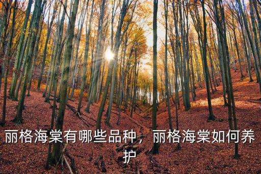 麗格海棠有哪些品種，麗格海棠如何養護