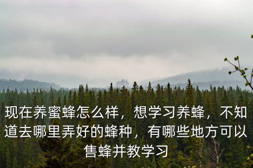 深圳哪里有學(xué)習(xí)養(yǎng)蜂技術(shù),有哪些地方可以售蜂并教學(xué)習(xí)