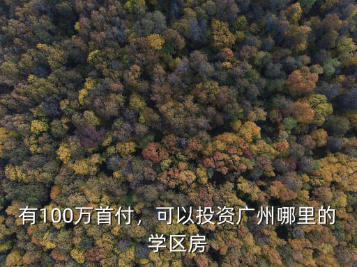 廣州市學區(qū)房哪里好,可以投資廣州哪里的學區(qū)房
