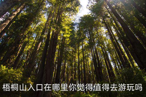 深圳梧桐山哪里看云海,梧桐山入口在哪里