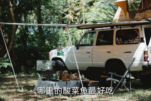廣州江南大道天成酸菜魚在哪里,廣州哪里的酸菜魚好吃