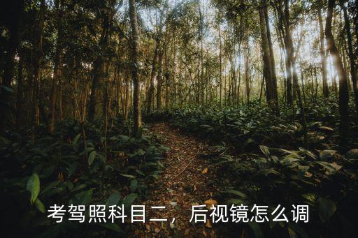 科目二鏡子怎么調深圳,考駕照科目二