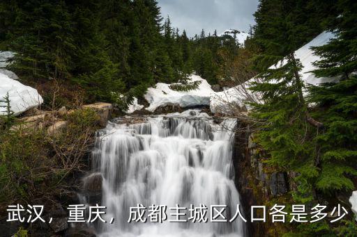 廣州人口多少武漢人口多少,成都主城區人口各是多少