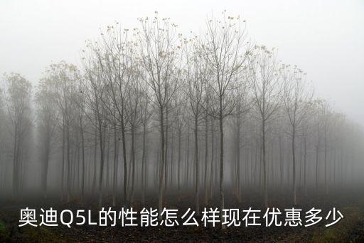 奧迪Q5L的性能怎么樣現在優惠多少