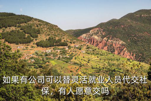 如果有公司可以替靈活就業人員代交社保，有人愿意交嗎