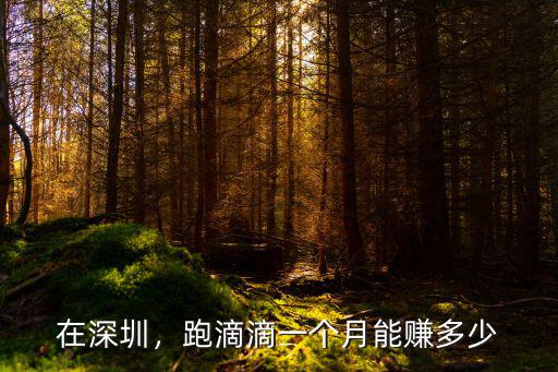 在深圳，跑滴滴一個月能賺多少